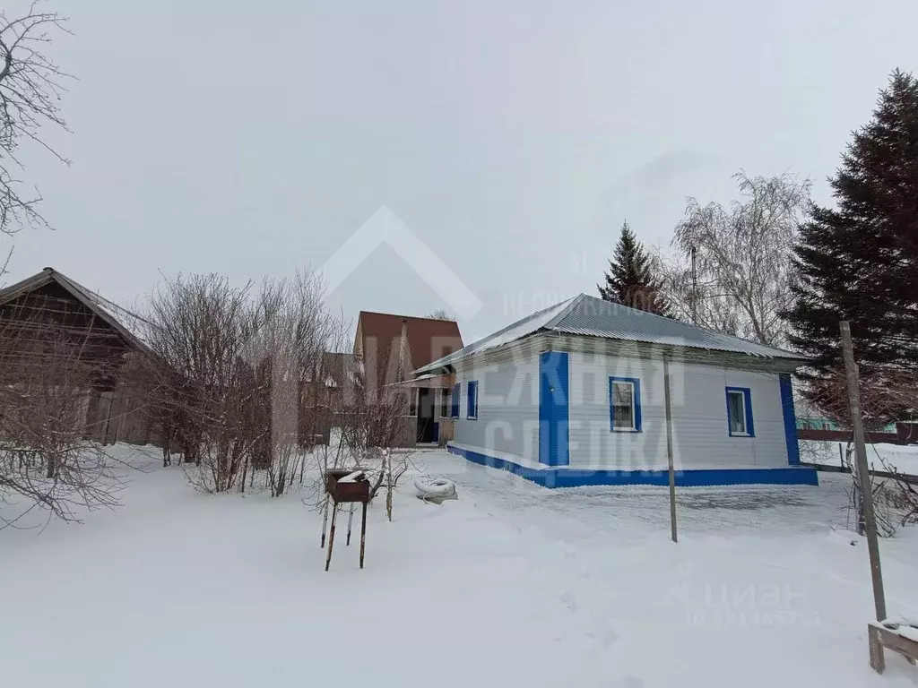 Дом в Алтайский край, Рубцовский район, Безрукавский сельсовет, с. ... - Фото 2