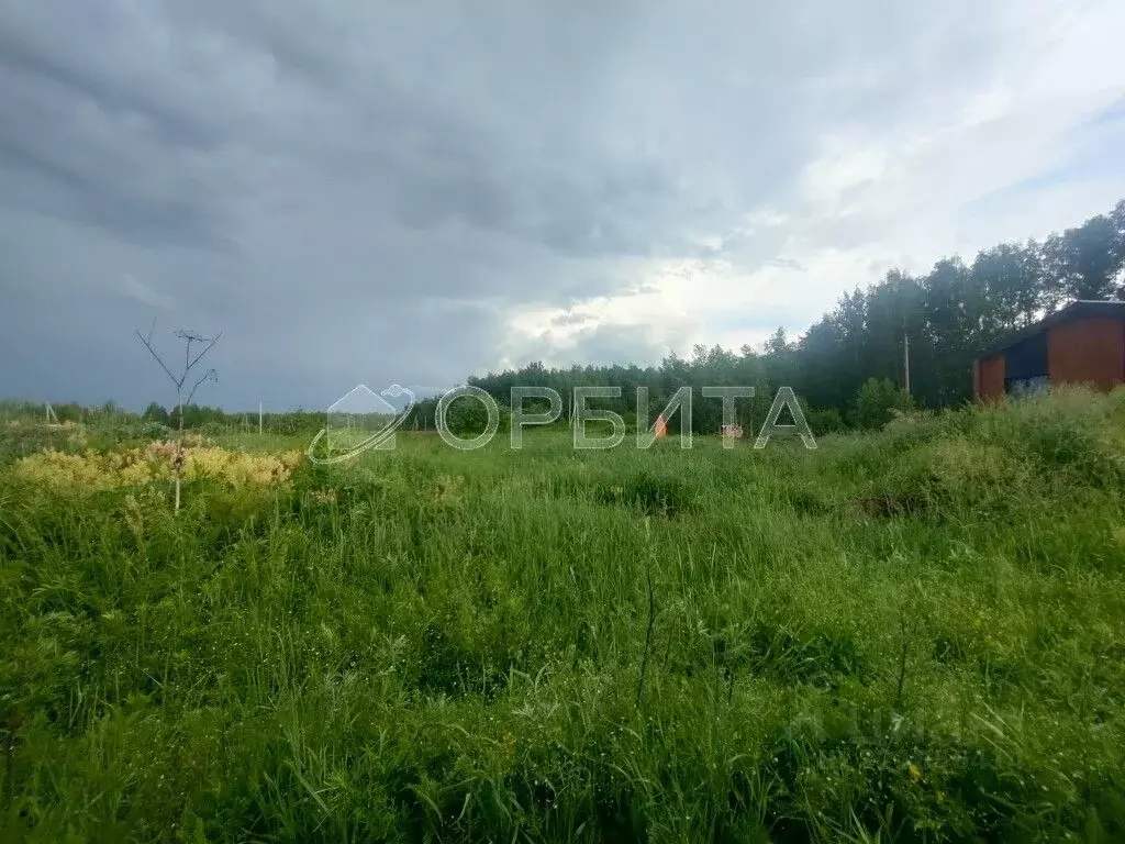 Участок в Тюменская область, Нижнетавдинский муниципальный округ, ... - Фото 1