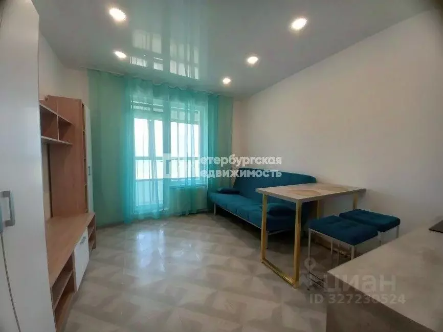 Студия Санкт-Петербург ул. Русановская, 24 (21.1 м) - Фото 1