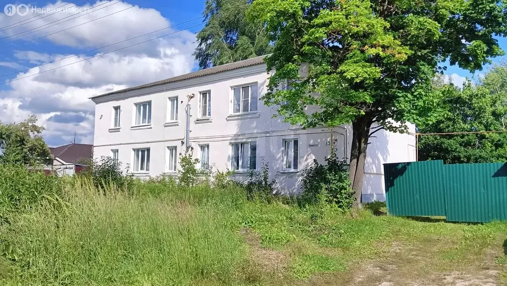 1-комнатная квартира: Меленки, улица Чернышевского, 15 (30.1 м) - Фото 2