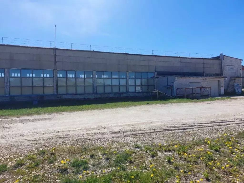 Помещение свободного назначения в Ленинградская область, Гатчинский ... - Фото 2