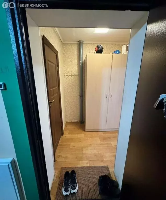 Квартира-студия: село Михайловка, Сливовая улица, 3 (28 м) - Фото 2