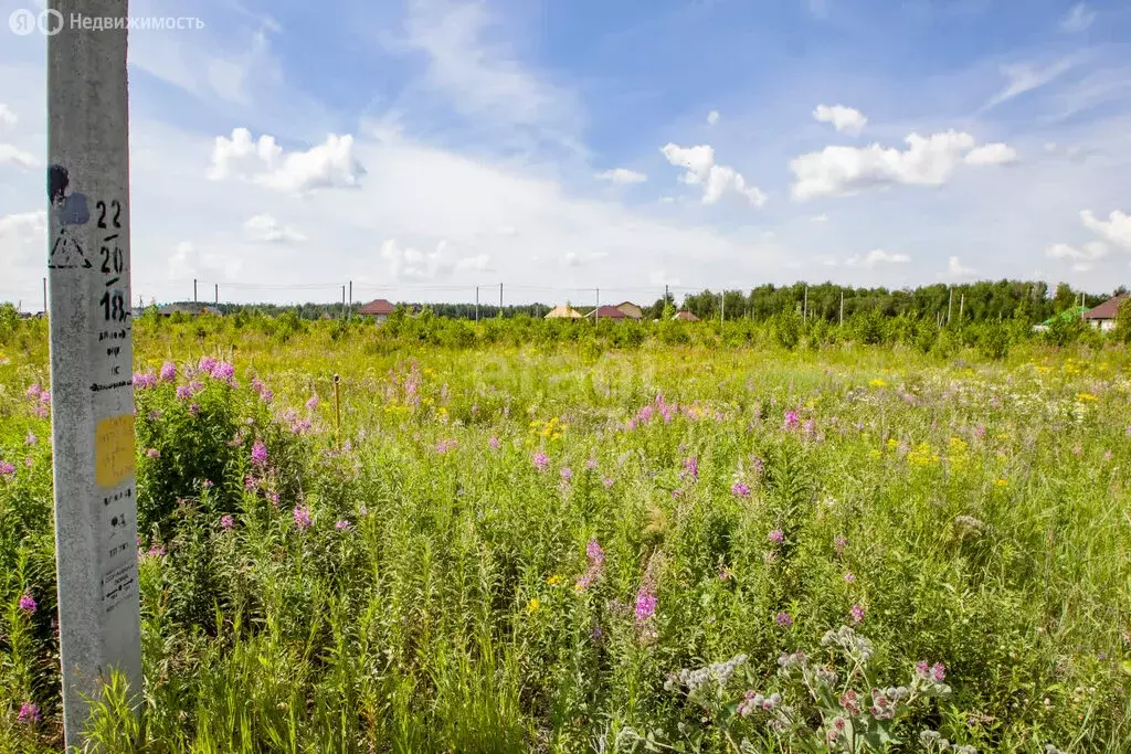 Участок в Заводоуковск, микрорайон Южный (9.34 м) - Фото 2