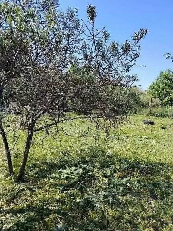 Дом в Башкортостан, Иглинский район, Акбердинский сельсовет, № 9 Орфей ... - Фото 1