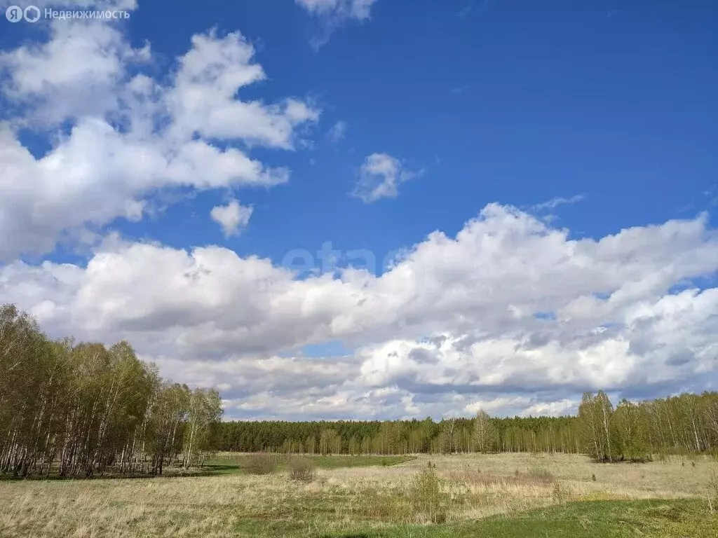 Участок в Челябинская область, Саткинский муниципальный округ, деревня ... - Фото 1