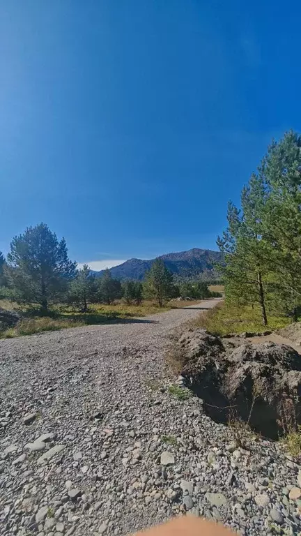 Участок в Алтай, Чемальский район, Элекмонарское с/пос, с. Элекмонар ... - Фото 2