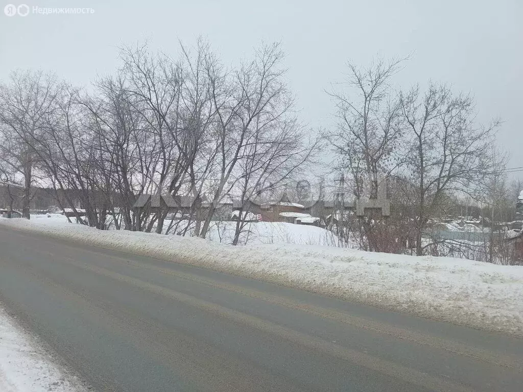 Участок в Новосибирск, СНТ Буревестник Пашинский (5.52 м) - Фото 2