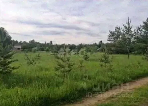 Участок в Вологодская область, Устюженский район, д. Хотыль  (20.0 ... - Фото 1