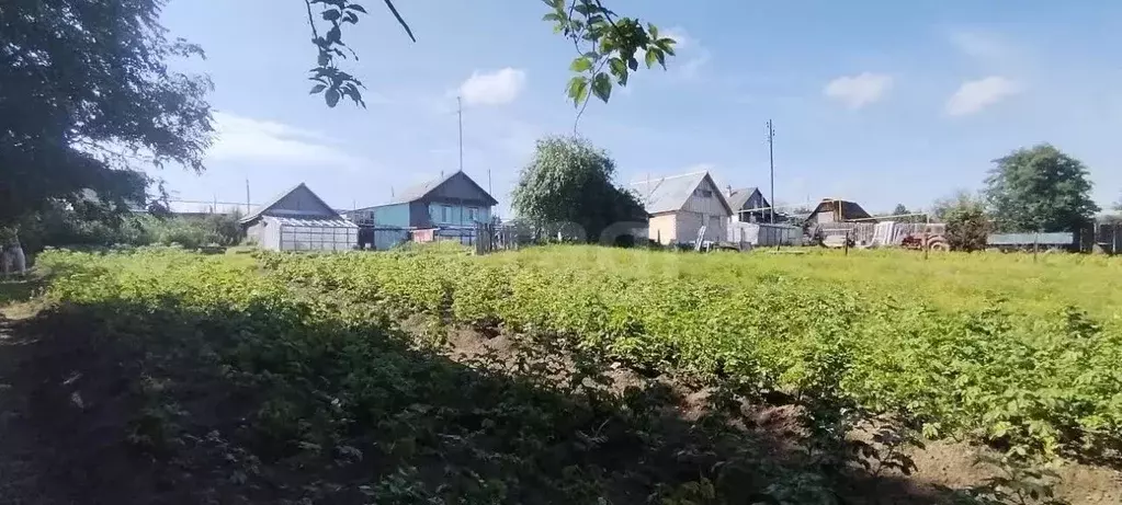 Дом в Свердловская область, Кировградский муниципальный округ, пос. ... - Фото 1