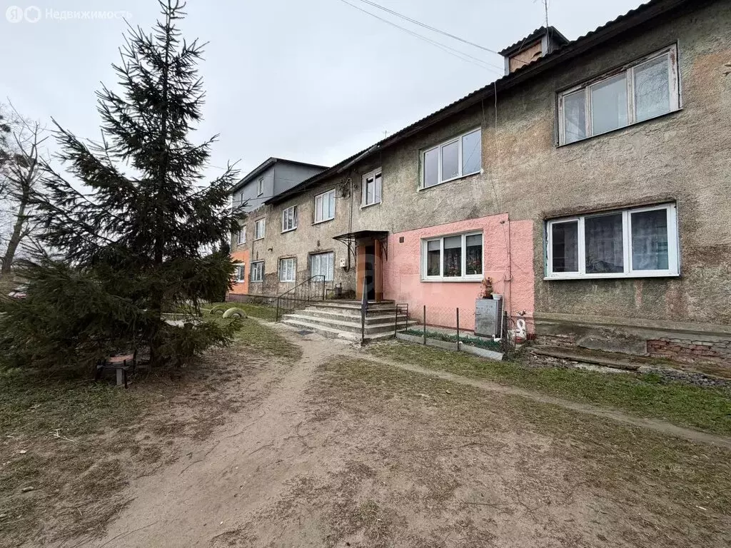 Квартира-студия: Светловский городской округ, посёлок Волочаевское, ... - Фото 2