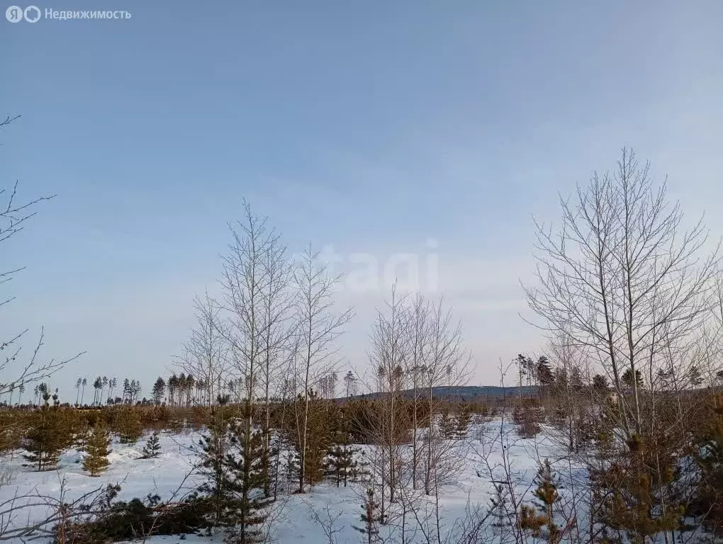 Участок в Читинский район, село Смоленка (6 м) - Фото 2