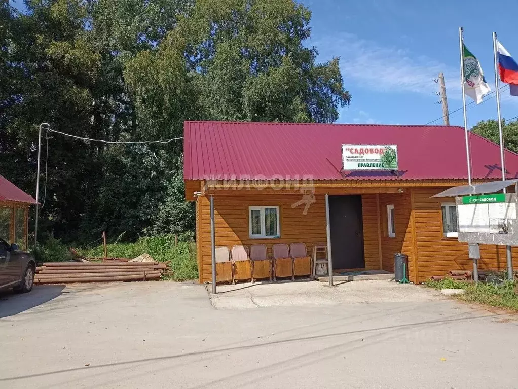 участок в новосибирская область, новосибирск садовод садовое . - Фото 0