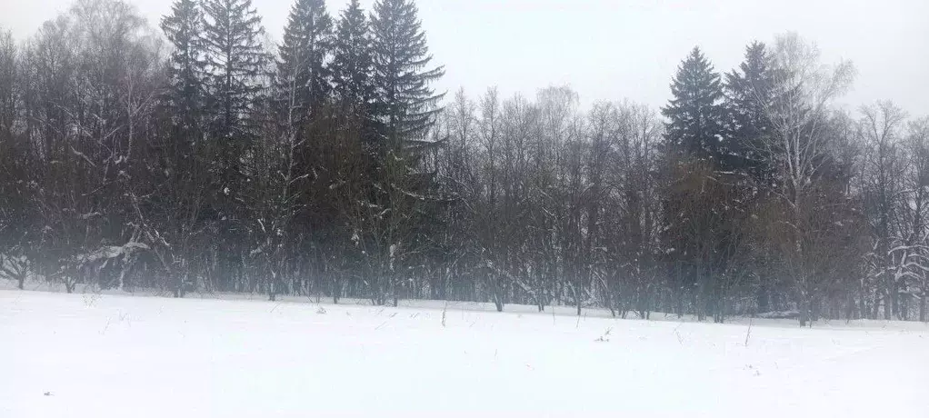 Участок в Московская область, Коломна городской округ, с. Сеньково  ... - Фото 2