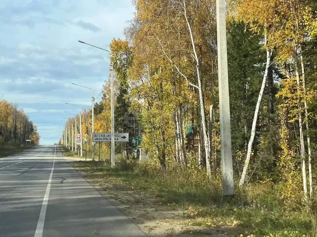 Участок в Бурятия, Баргузинский район, с. Максимиха, Студенческий мкр ... - Фото 2