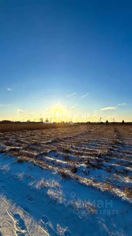 Участок в Костромская область, Костромской район, Шунгенское с/пос, д. ... - Фото 2