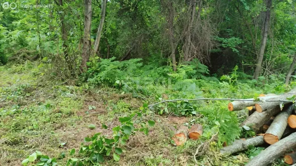 Участок в Краснодарский край, городской округ Сочи, село Бестужевское ... - Фото 1