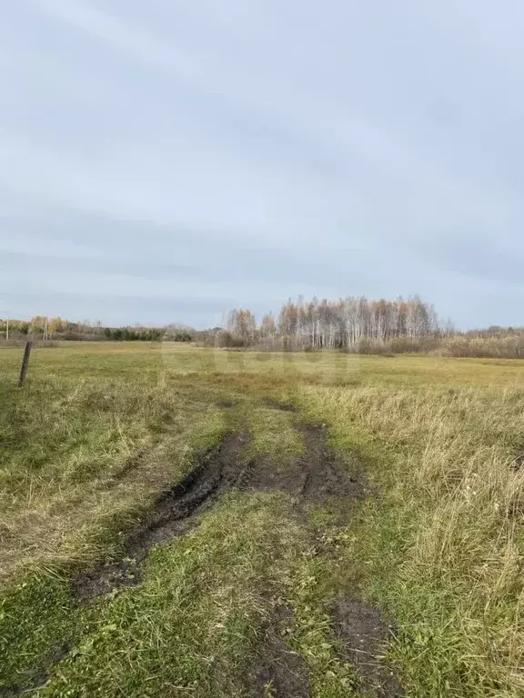 Участок в Свердловская область, Слободо-Туринский район, ... - Фото 1