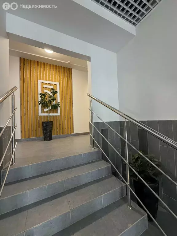 Квартира-студия: Ростов-на-Дону, улица Ткачёва, 38с2 (27 м) - Фото 2