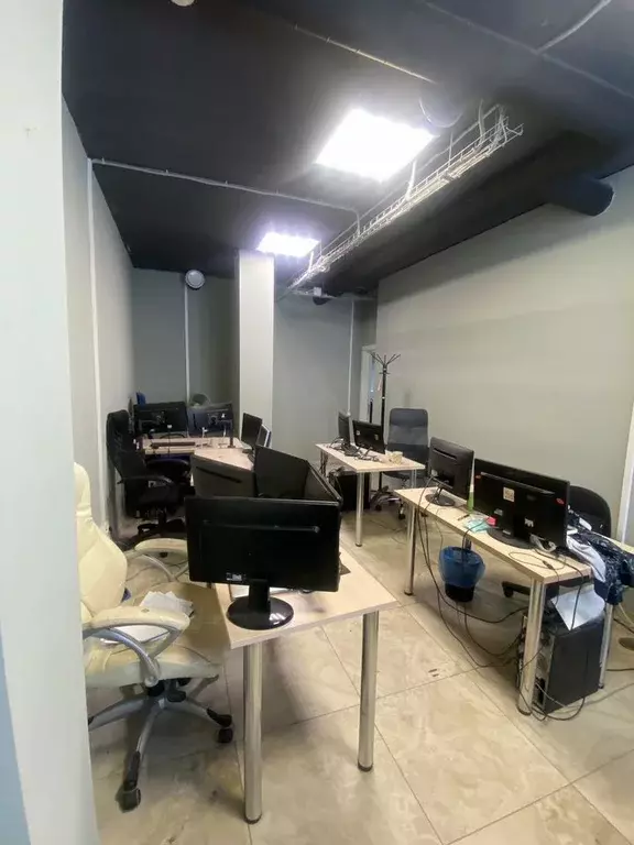 Офис в Санкт-Петербург ул. Большая Зеленина, 24 (30 м) - Фото 1