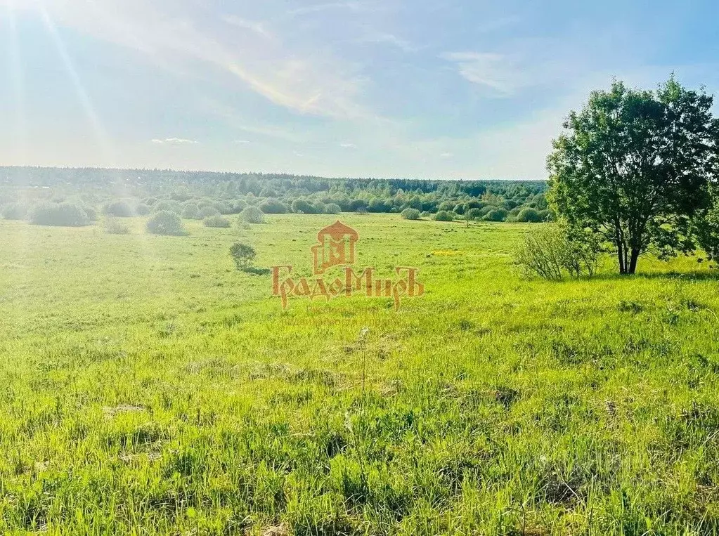 Участок в Владимирская область, Кольчугинский муниципальный округ, ... - Фото 1