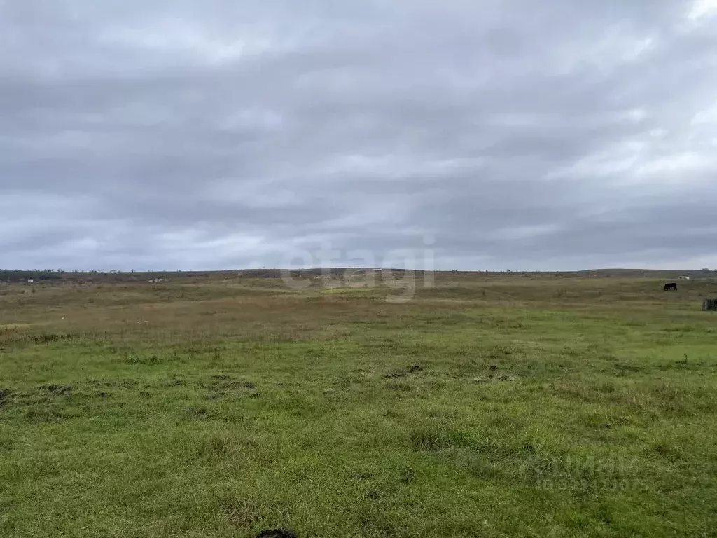 Участок в Крым, Симферопольский район, Чистенское с/пос, с. Камышинка  ... - Фото 1