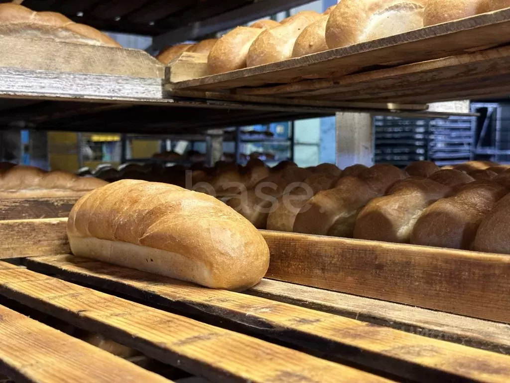 Производственное помещение в Краснодарский край, Армавир ул. Розы ... - Фото 0