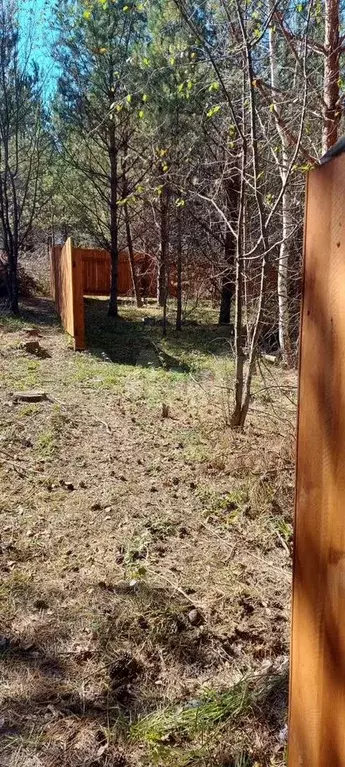 Участок 12 сот. (ИЖС) - Фото 1