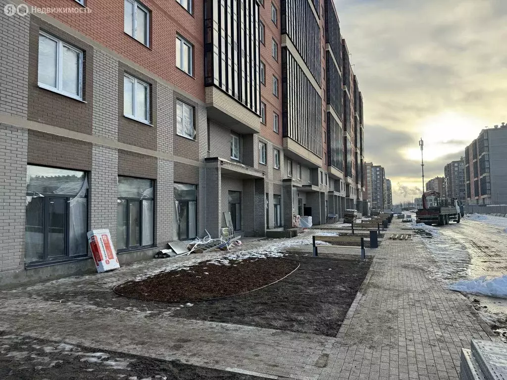 Помещение свободного назначения (54.53 м) - Фото 2