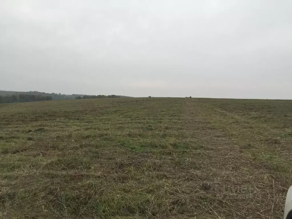 Участок в Кемеровская область, Новокузнецк Ильинское ш. (23.0 сот.) - Фото 2