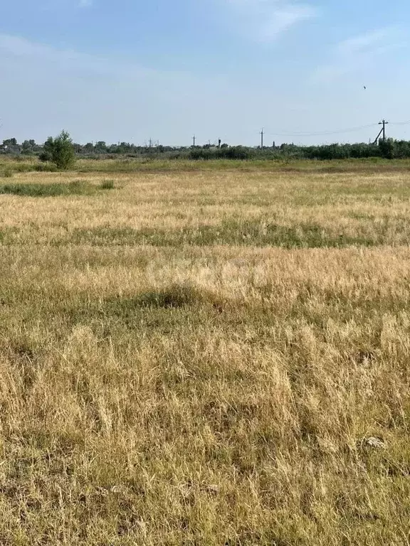 Участок в Ростовская область, Азовский район, Елизаветинское с/пос, ... - Фото 1