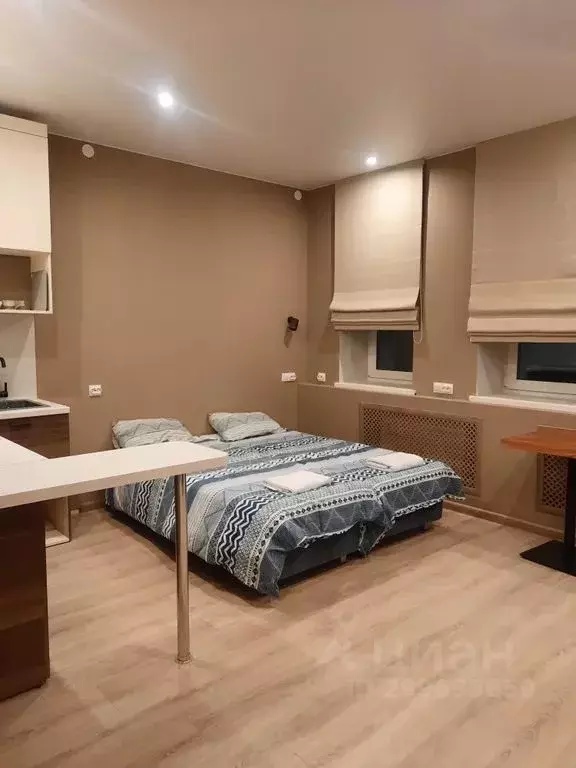 1-к кв. Новгородская область, Любытинское с/пос, с. Зарубино ул. ... - Фото 2