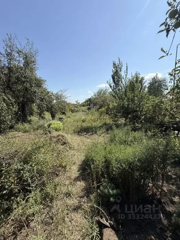 Участок в Ростовская область, Ростов-на-Дону Ладная ул., 3 (6.04 сот.) - Фото 2