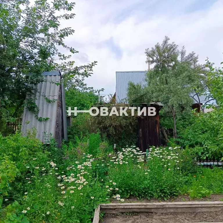 Дом в Новосибирский район, Верх-Тулинский сельсовет, садовое ... - Фото 0
