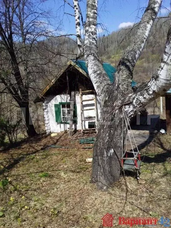 Дом в Кемеровская область, Калтанский городской округ, с. Сарбала ул. ... - Фото 1