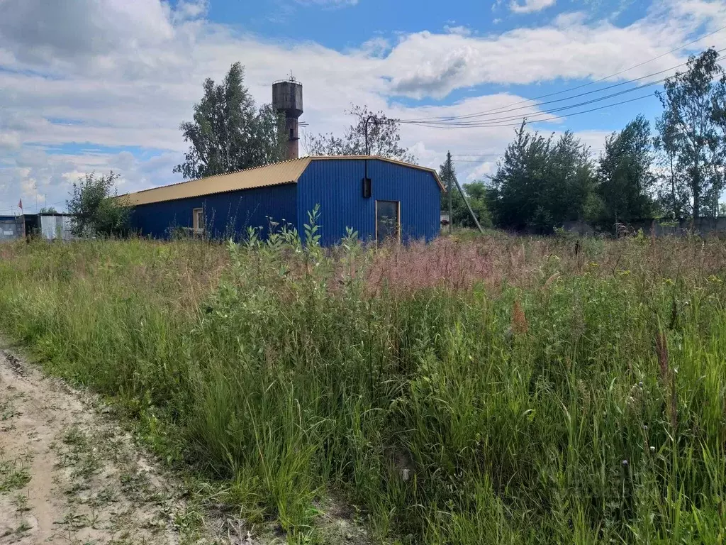 Производственное помещение в Московская область, Орехово-Зуевский ... - Фото 1