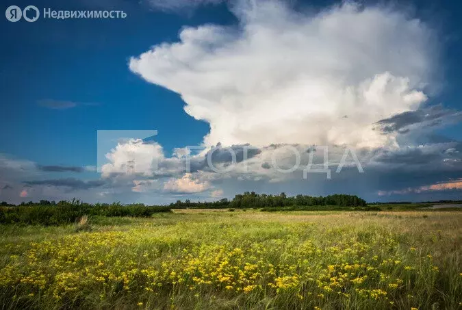 Участок в Каменский район, Гоноховский сельсовет (43700 м) - Фото 1
