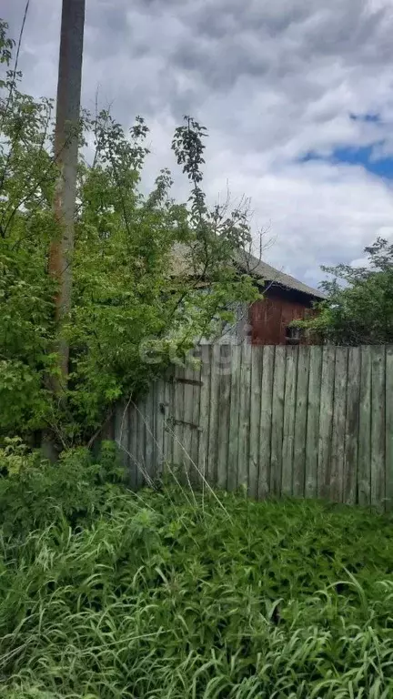 Участок в Воронежская область, Хохольский район, с. Кочетовка ... - Фото 1