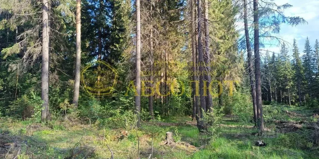 Участок в Свердловская область, Ревда пер. Степана Разина, 2 (9.75 ... - Фото 2