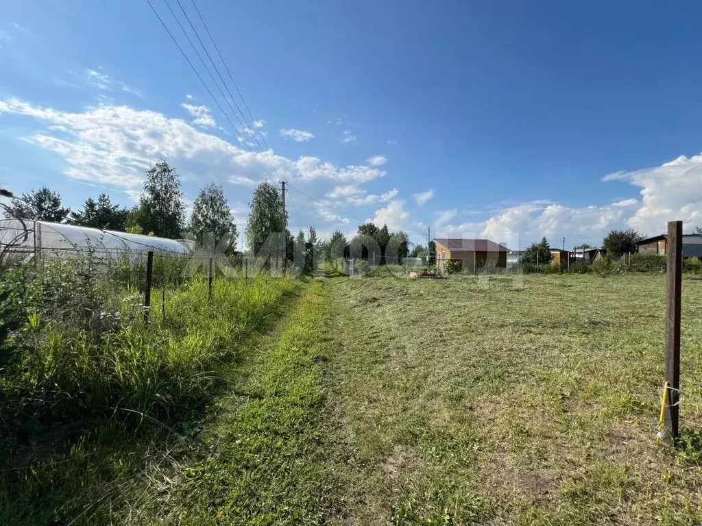 Участок в Новосибирская область, Бердск Росинка СНТ, ул. 18-я (5.0 ... - Фото 1
