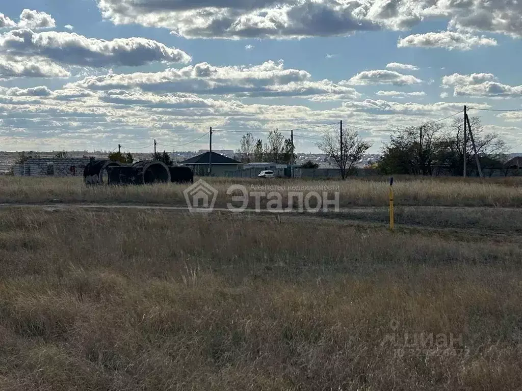 Участок в Волгоградская область, Городищенский район, Царицынское ... - Фото 2