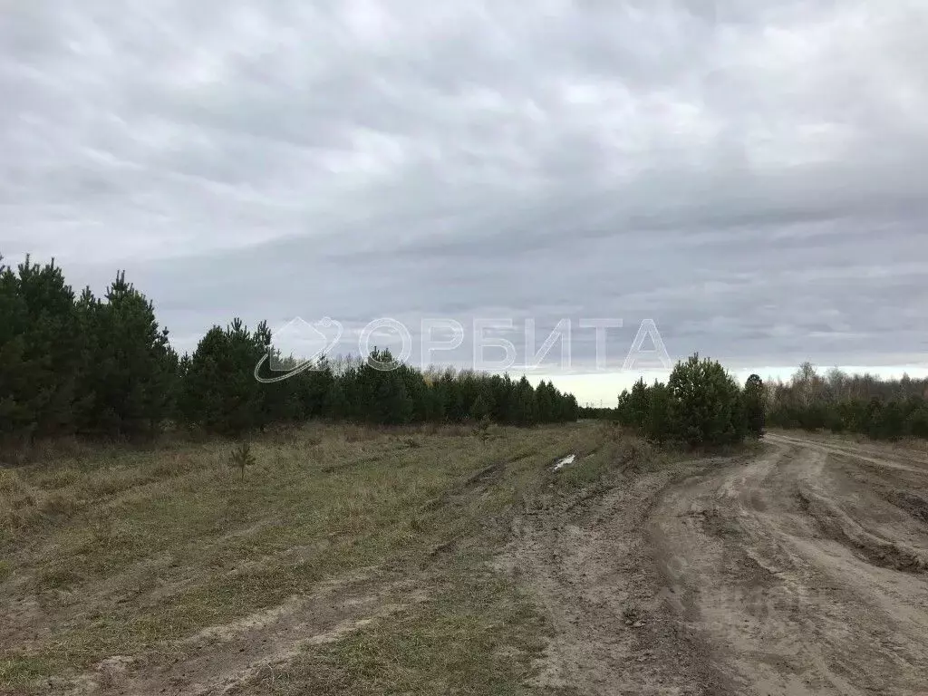 Участок в Тюменская область, Тюменский район, с. Горьковка Сибирская ... - Фото 1