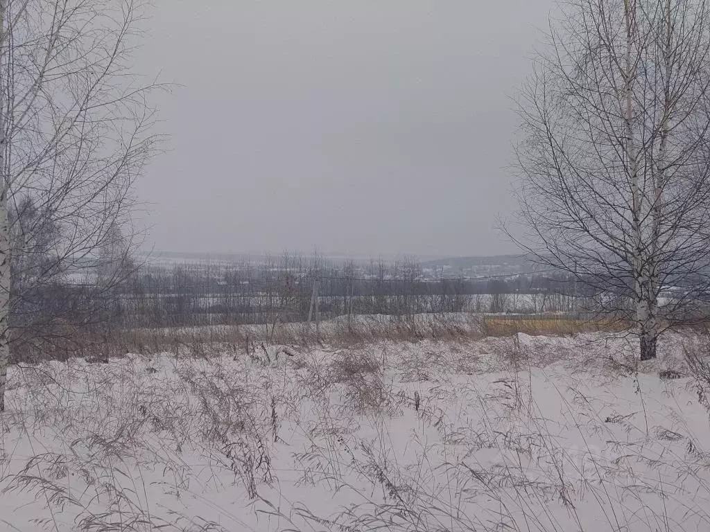 Участок в Кемеровская область, Кемеровский муниципальный округ, пос. ... - Фото 1