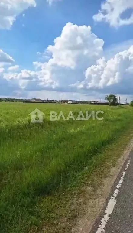 Участок в Московская область, Серпухов городской округ, д. Волохово ... - Фото 0