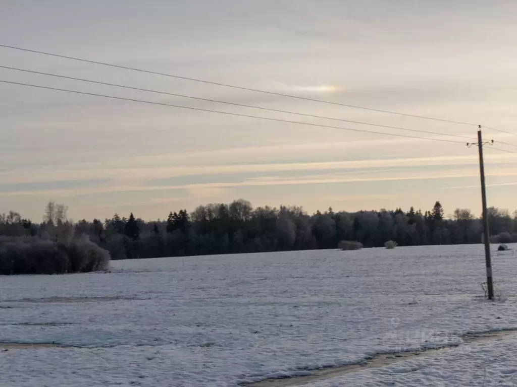 Участок в Московская область, Волоколамский городской округ, д. ... - Фото 0