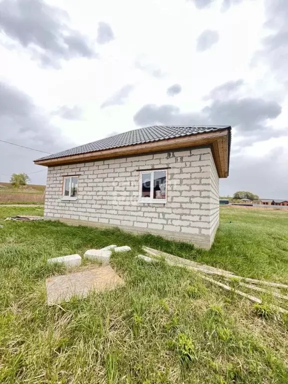 Дом в Московская область, Коломна городской округ, с. Лысцево ул. ... - Фото 2