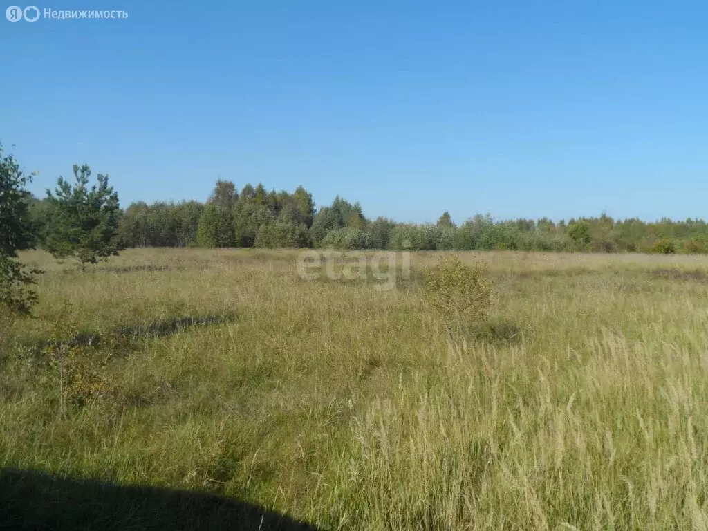 Участок в Островский район, Бережанская волость, деревня Тишино (40 м) - Фото 0