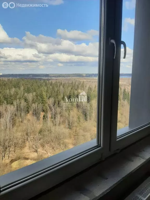 3-комнатная квартира: посёлок Парголово, Ольгинская дорога (90.9 м) - Фото 2