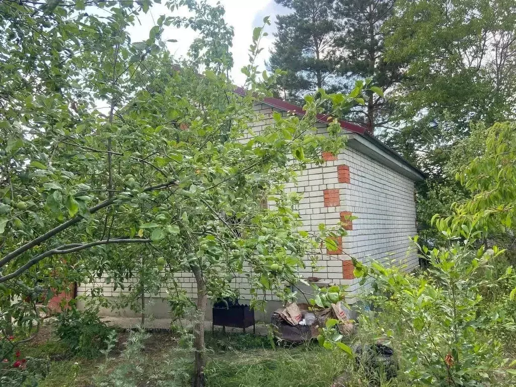 Дом в Саратовская область, Татищевский район, Вязовское муниципальное ... - Фото 2