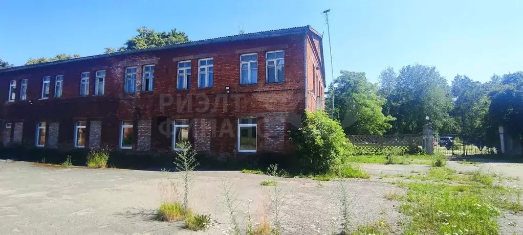 Производственное помещение в Калининградская область, Светлый ... - Фото 1