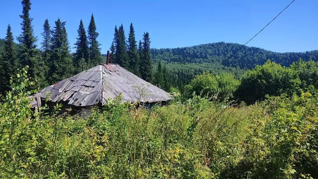 Участок в Кемеровская область, Таштагол ул. Веры Волошиной, 72 (13.9 ... - Фото 1